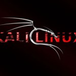 Kali Linux E: invalid Operation Software Hatası